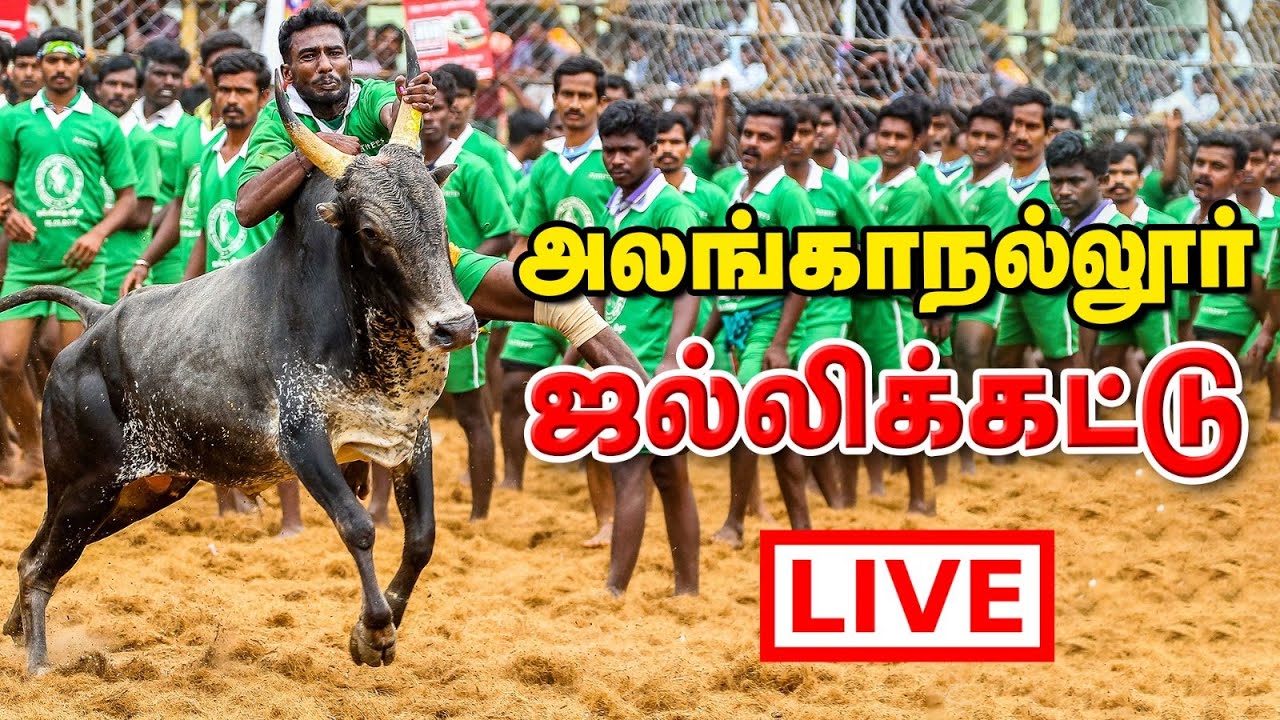 அலங்காநல்லூர் ஜல்லிக்கட்டு 2026 Live  | Alanganallur Jallikattu