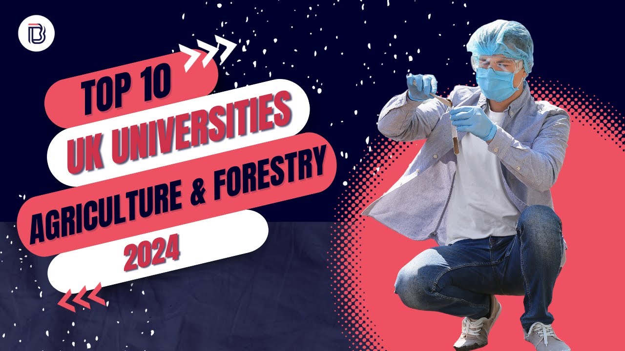 Best Universities in the UK for Agriculture and Forestry Studies 2024