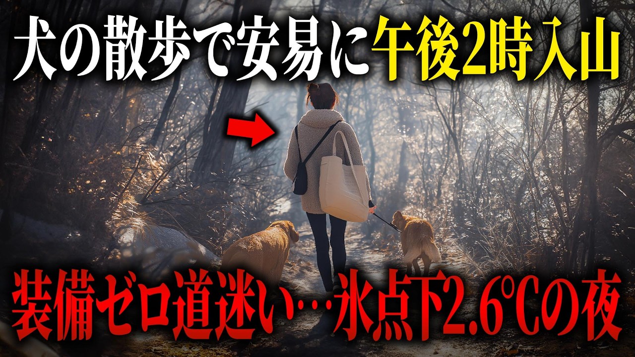 犬の散歩のつもりで山へ…軽装で道迷いし日没、氷点下の夜に【2014年 半国山遭難事故】【ゆっくり解説】