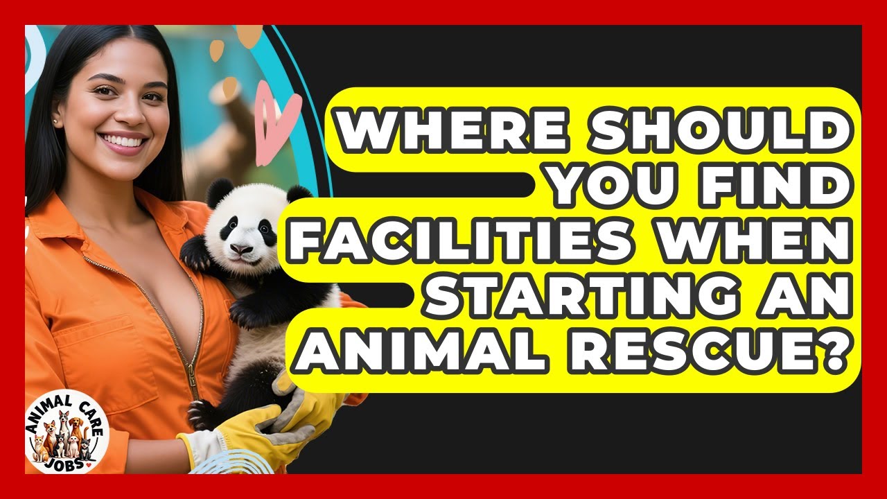 Where Should You Find Facilities When Starting An Animal Rescue? - Animal Care Jobs