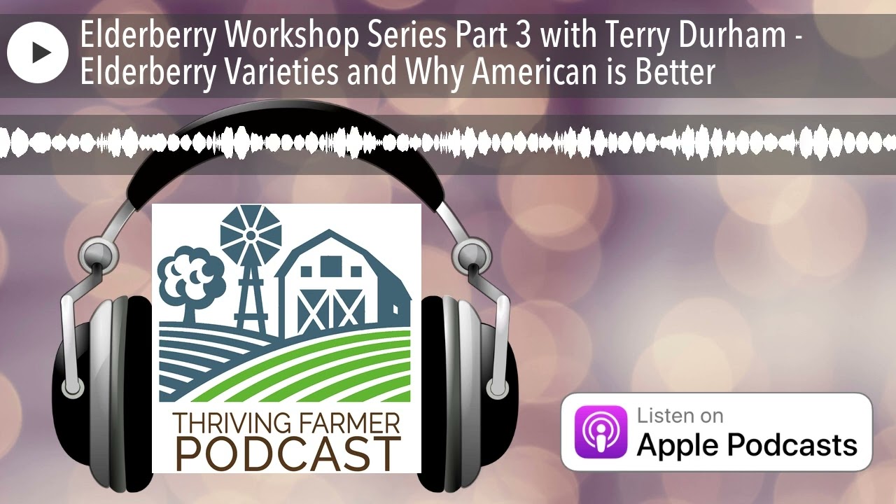 Elderberry Workshop Series Part 3 with Terry Durham - Elderberry Varieties and Why American is Bett