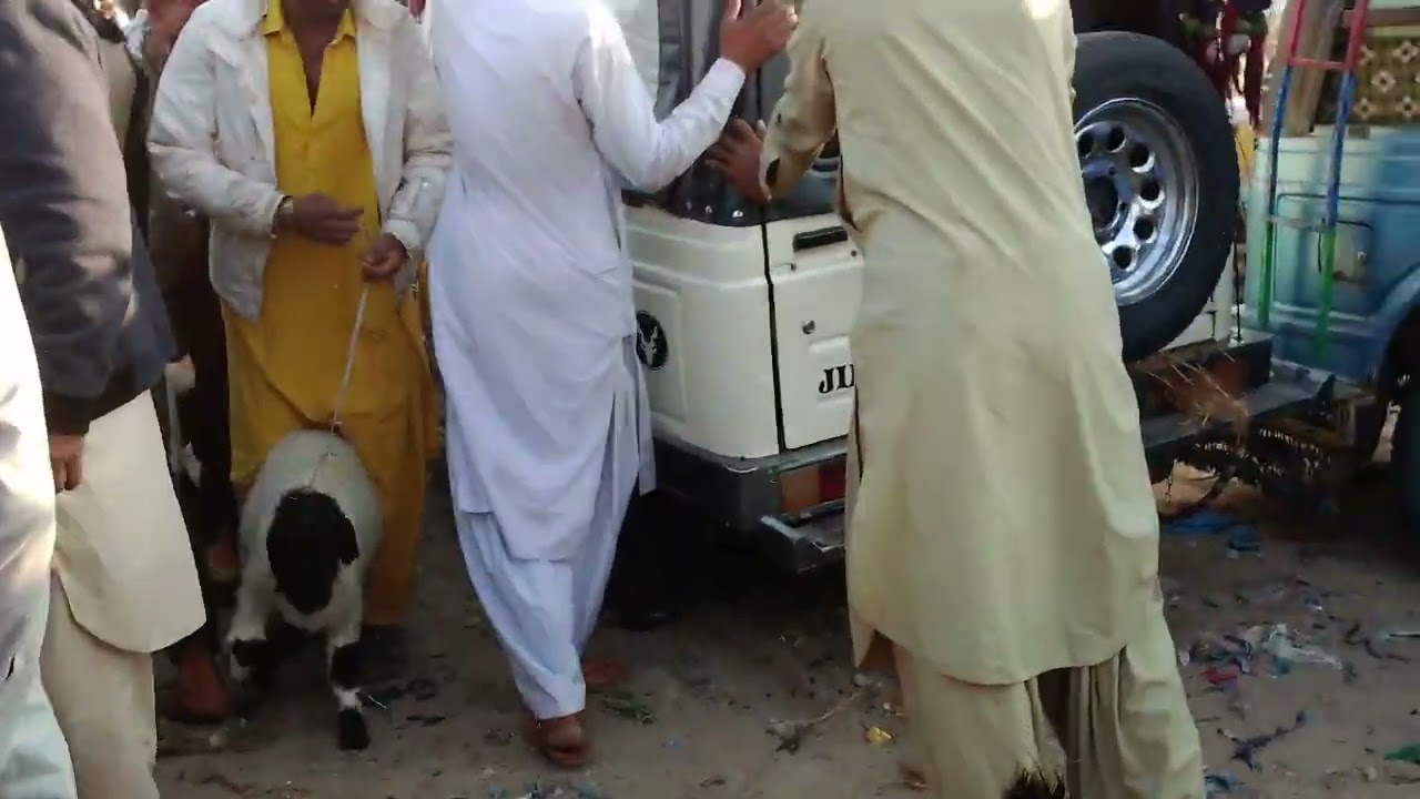 28 January 2026 islam kot mandi ka visit 