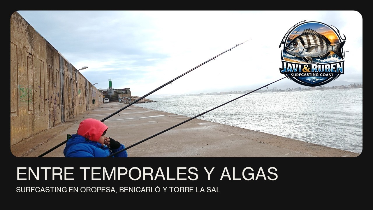 Entre temporales y algas