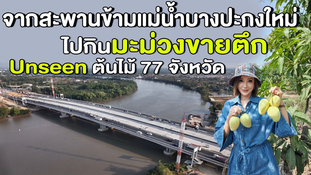 จากสะพานข้ามแม่น้ำบางปะกงใหม่ ไปกินมะม่วงขายตึก ,unseen ต้นไม้77 จว.