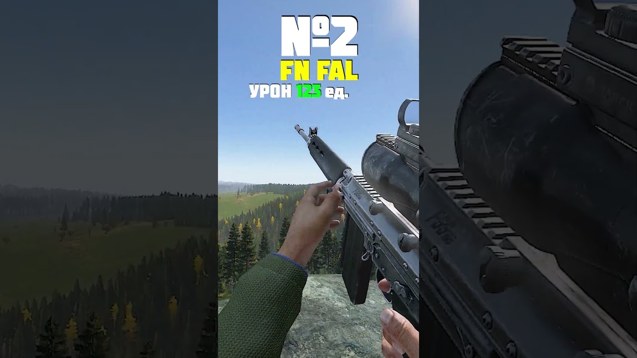 Какая ШТУРМОВАЯ ВИНТОВКА самая Лучшая в DayZ #dayz #дейз