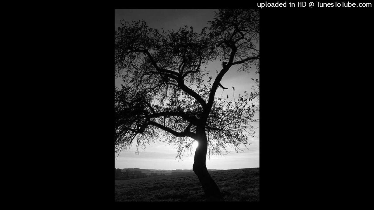 [FREE] Memories