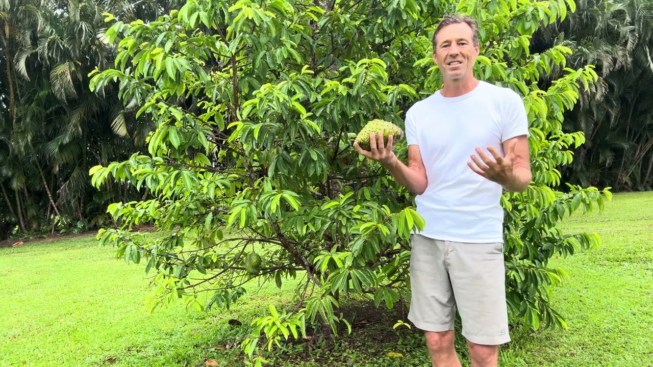 Why I Quit The Raw Food Diet! 