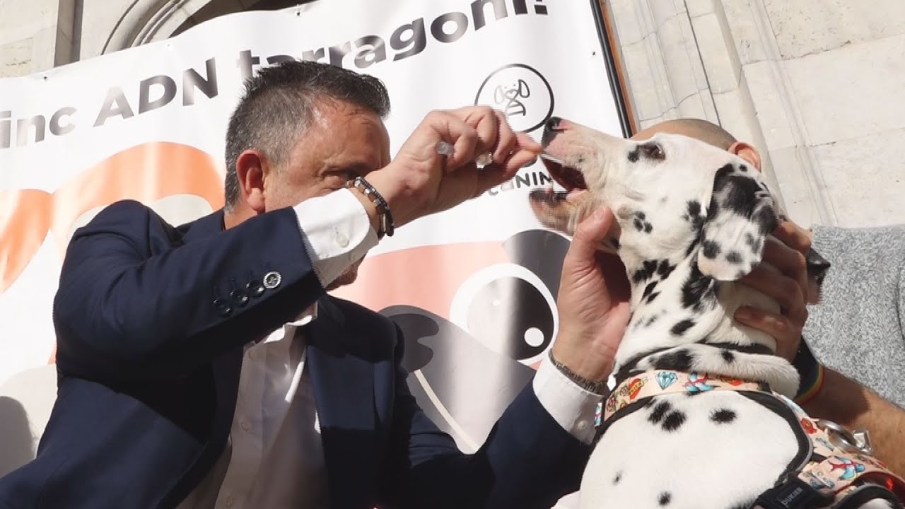 L'ADN permetrà multar qui no reculli els excrements de gos