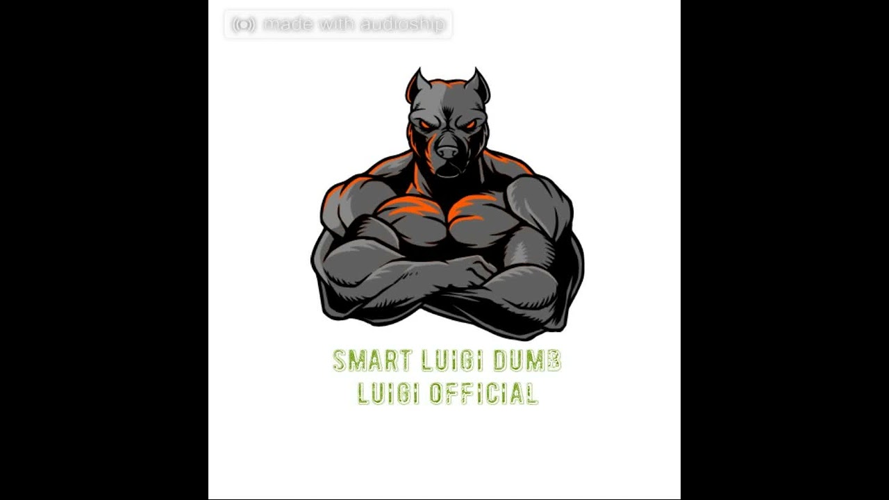 make it burn ( beat by smart luigi dumb luigi official)