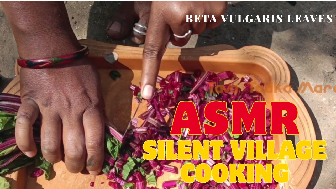 Slow Cooking Beta Vulgaris Leaves on Wood Fire बीटरूटच्या पानांची भाजी| Remote Village Silent Life