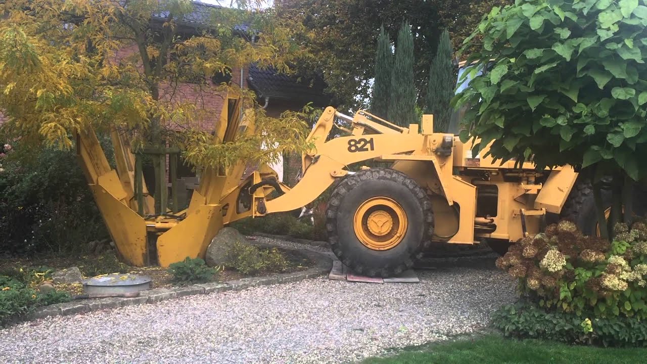 Ein gro&szlig;er Baum wird mittels Ballenstecher ausgepflanzt