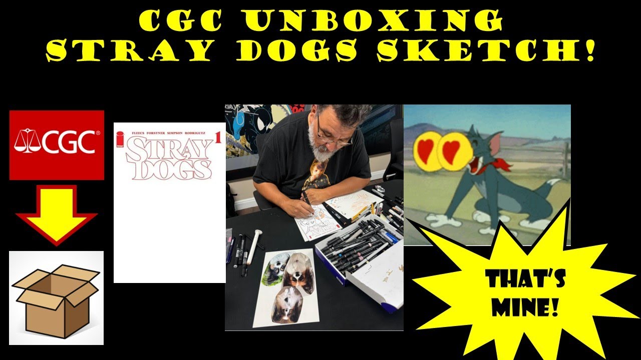 Stray Dogs CGC Signature Series SKETCH cover send off and unboxing! WOWWO WOOOFFF comic book grading