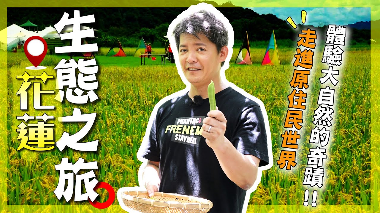 【花蓮】竟然還有謝哲青不知道的野菜冷知識！？從濕地抓魚到彩繪稻米，一步步學會土地生存術！｜Hualien／Amis｜#謝哲青 #廖科溢