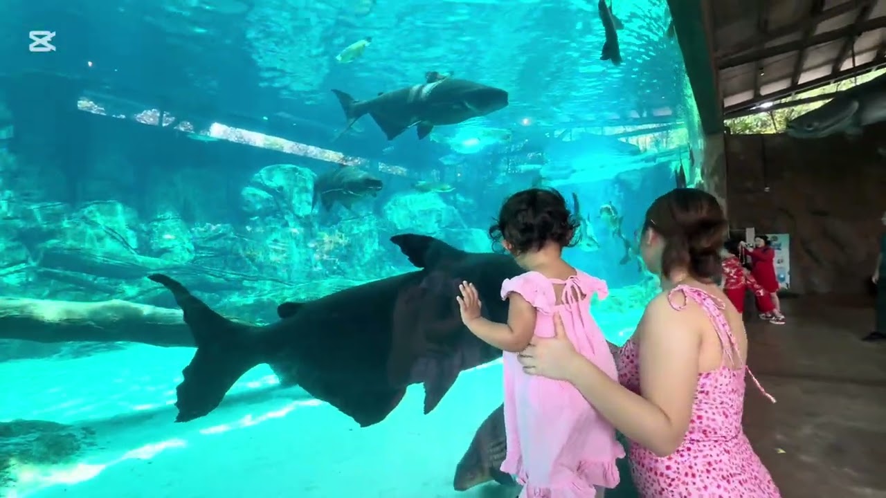 @ River Wonder,Singapore Feb 22,2026