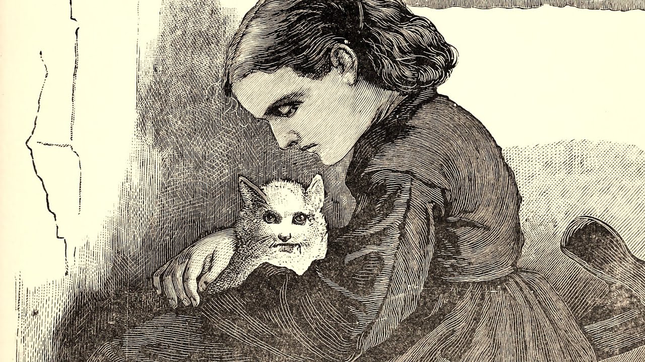 Care of Victorian & Edwardian Cats