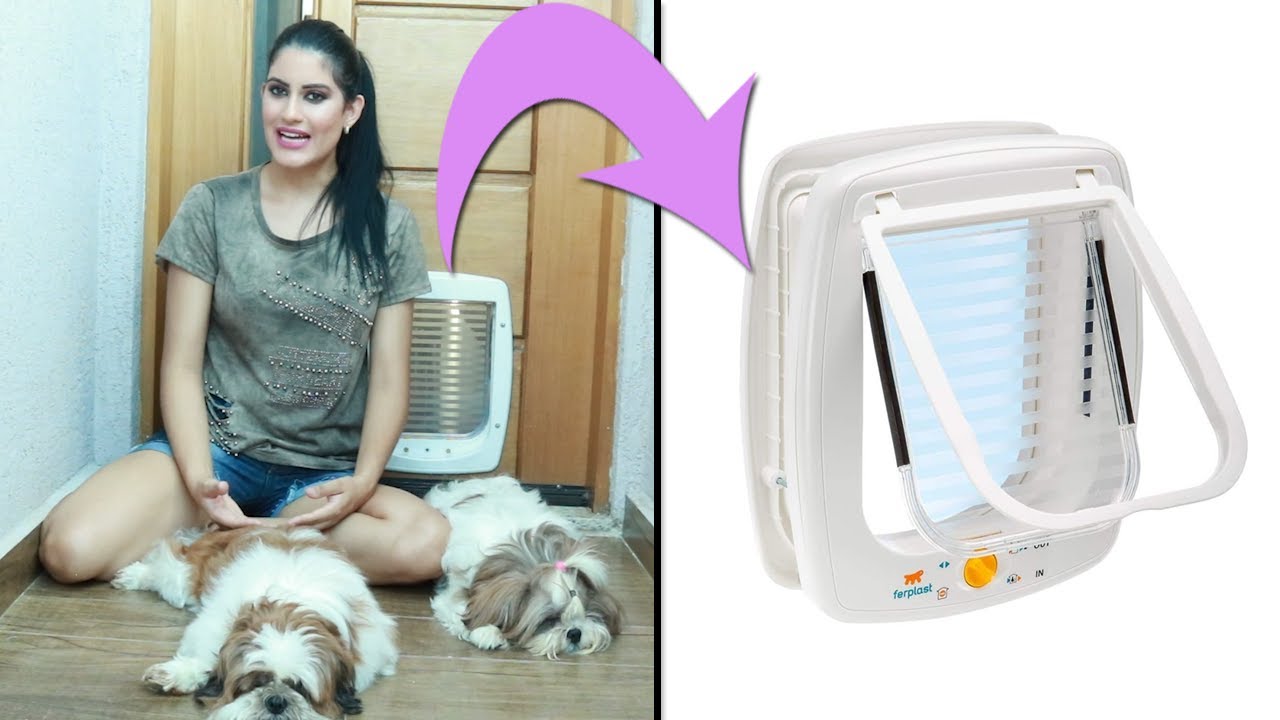 Porta de passagem para cães e gatos