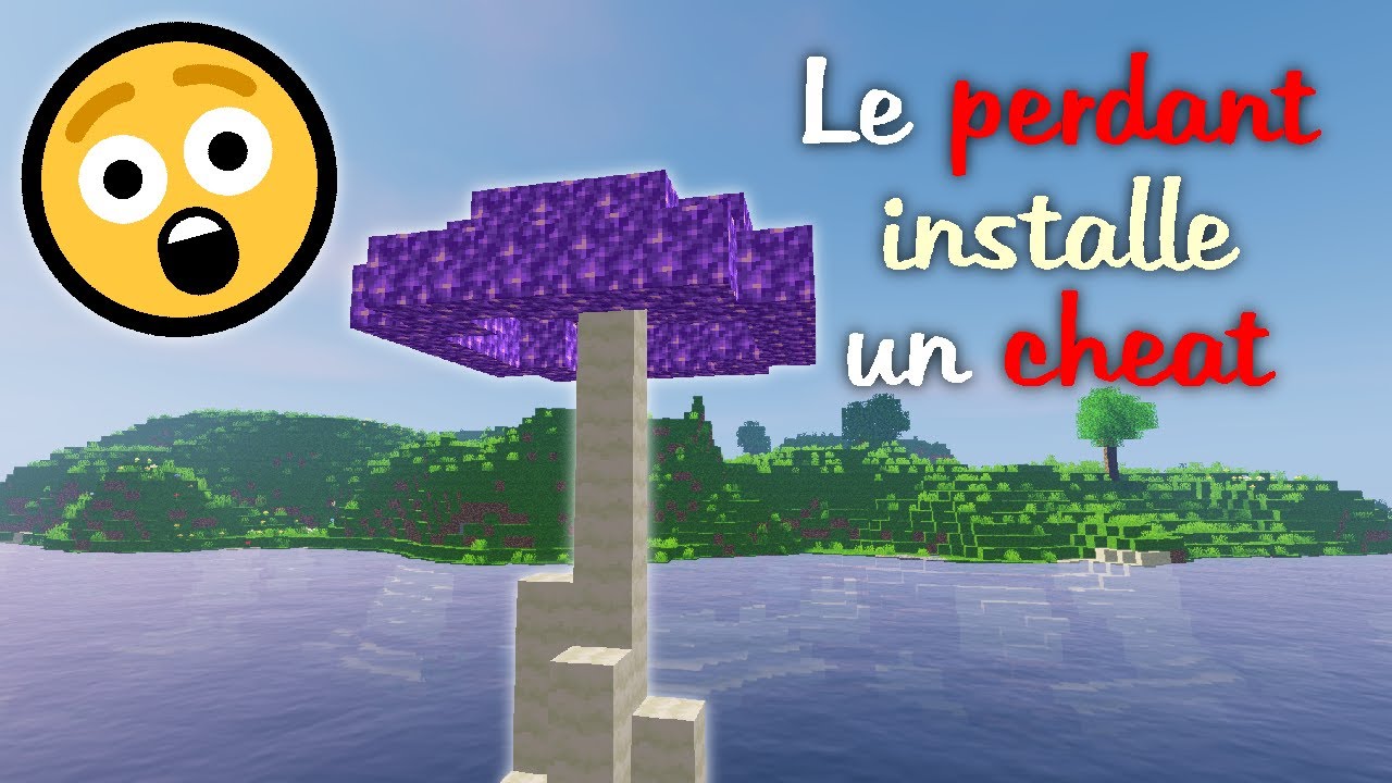 👩‍💻 AMETHYST MUSHROOM MAIS SI JE PERDS J'ACTIVE UN CHEAT (tricheur édition) - TOPY KEUR