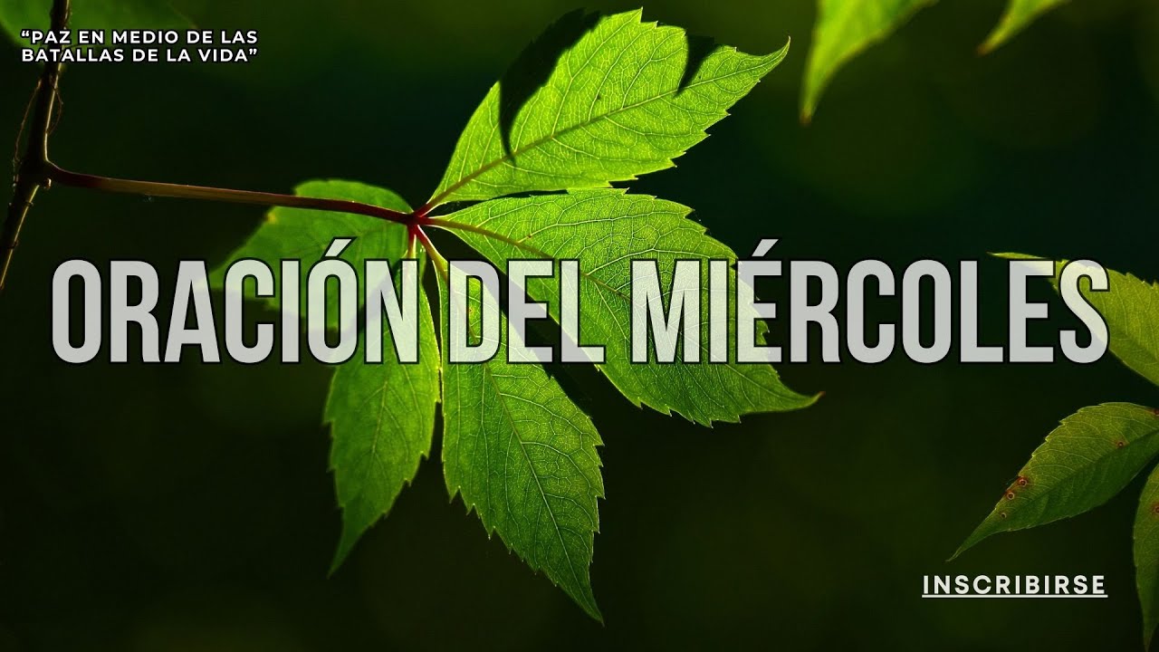 MIÉRCOLES – “Paz en Medio de las Batallas de la Vida”