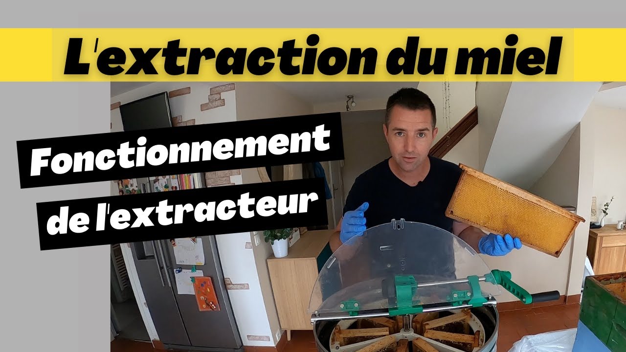 Le fonctionnement d'un extracteur pour extraire le miel des cadres.