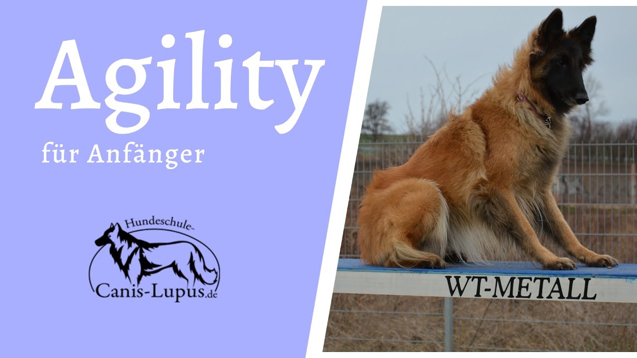 Agility 