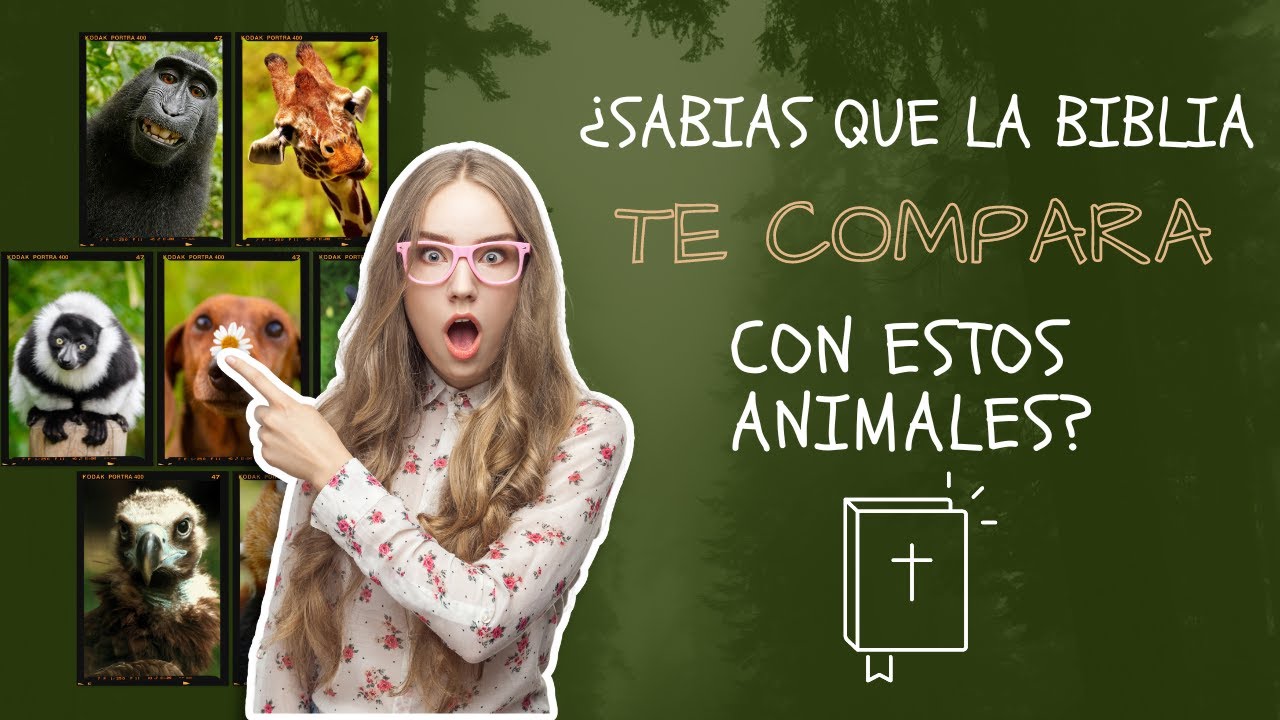 10 Animales en la Biblia que RESALTAN lo mejor del Hombre