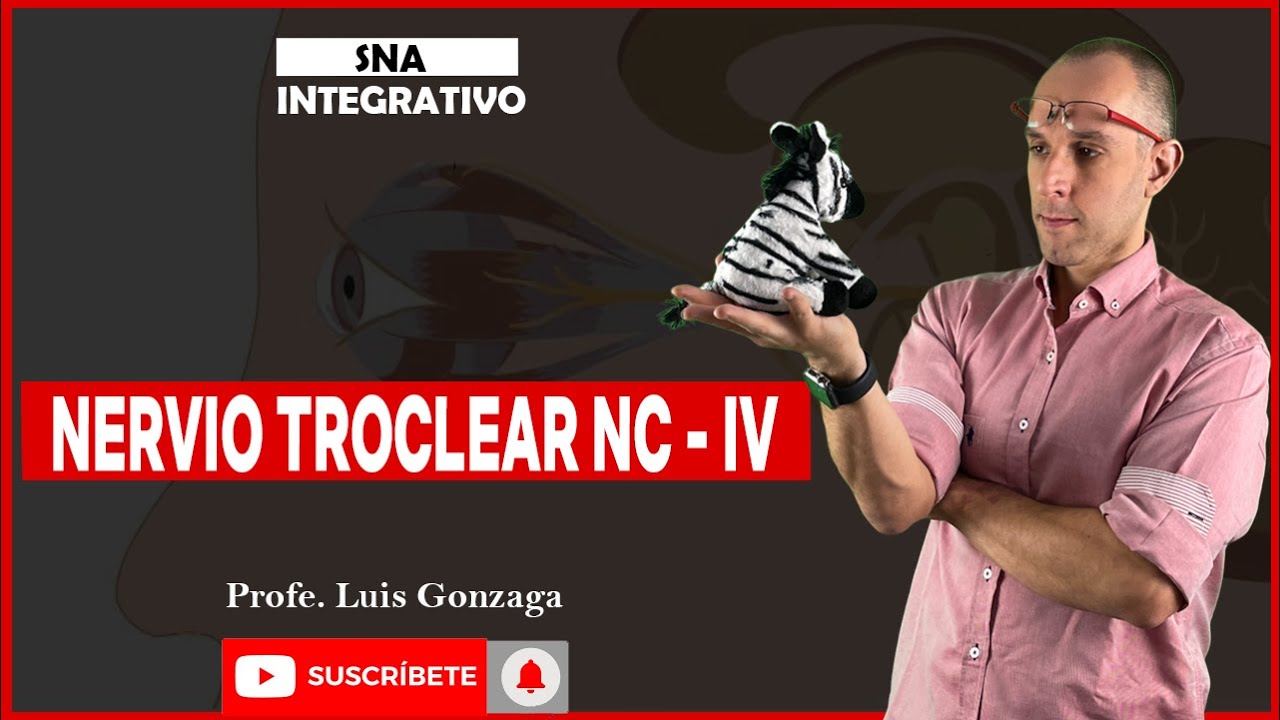 Nervio Troclear NC - IV