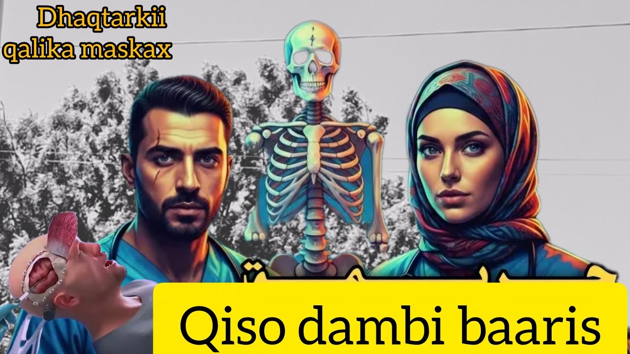 Qiso dambi baaris ah kiiska shamso dilaagii lama filaanka ahaa .....@Hafsabilanchannel6337 