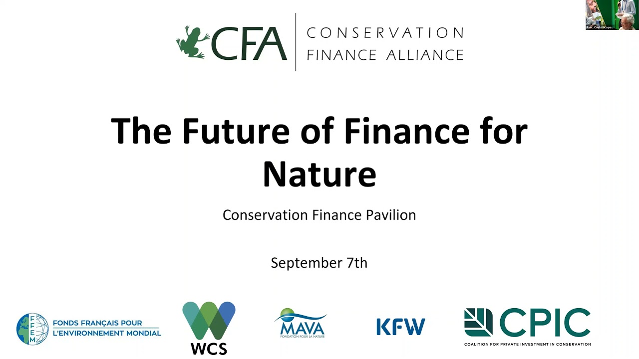 The Future of Finance for Nature