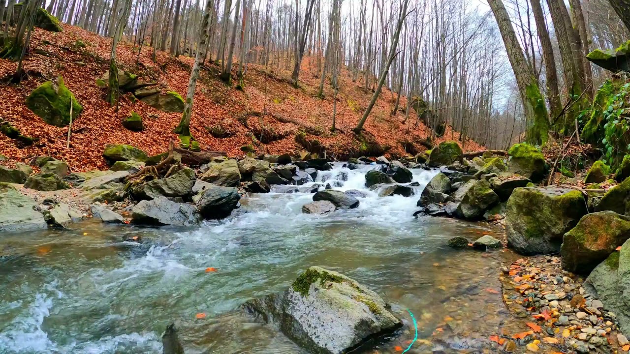 Calm Piano Music with Charming Nature Video. Soothing Music for Studying, Relaxation, Yoga, Sleeping