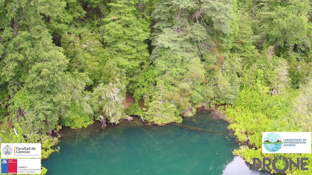 Laguna Negra 2017 [drone]