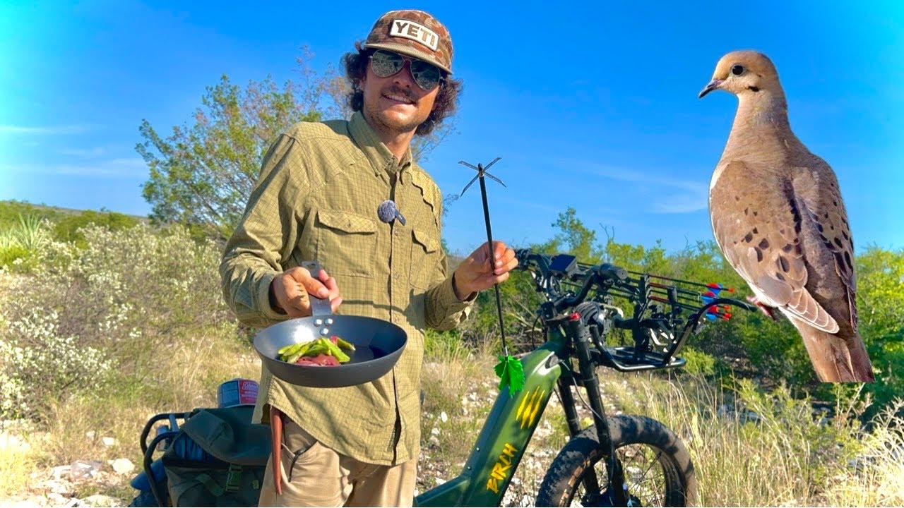 Archery Dove Hunt & Cook + Foraging Desert Wild Edibles (Updating Where I’ve Been)