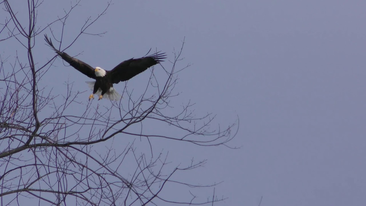 The Aylmer Wildlife Management Area