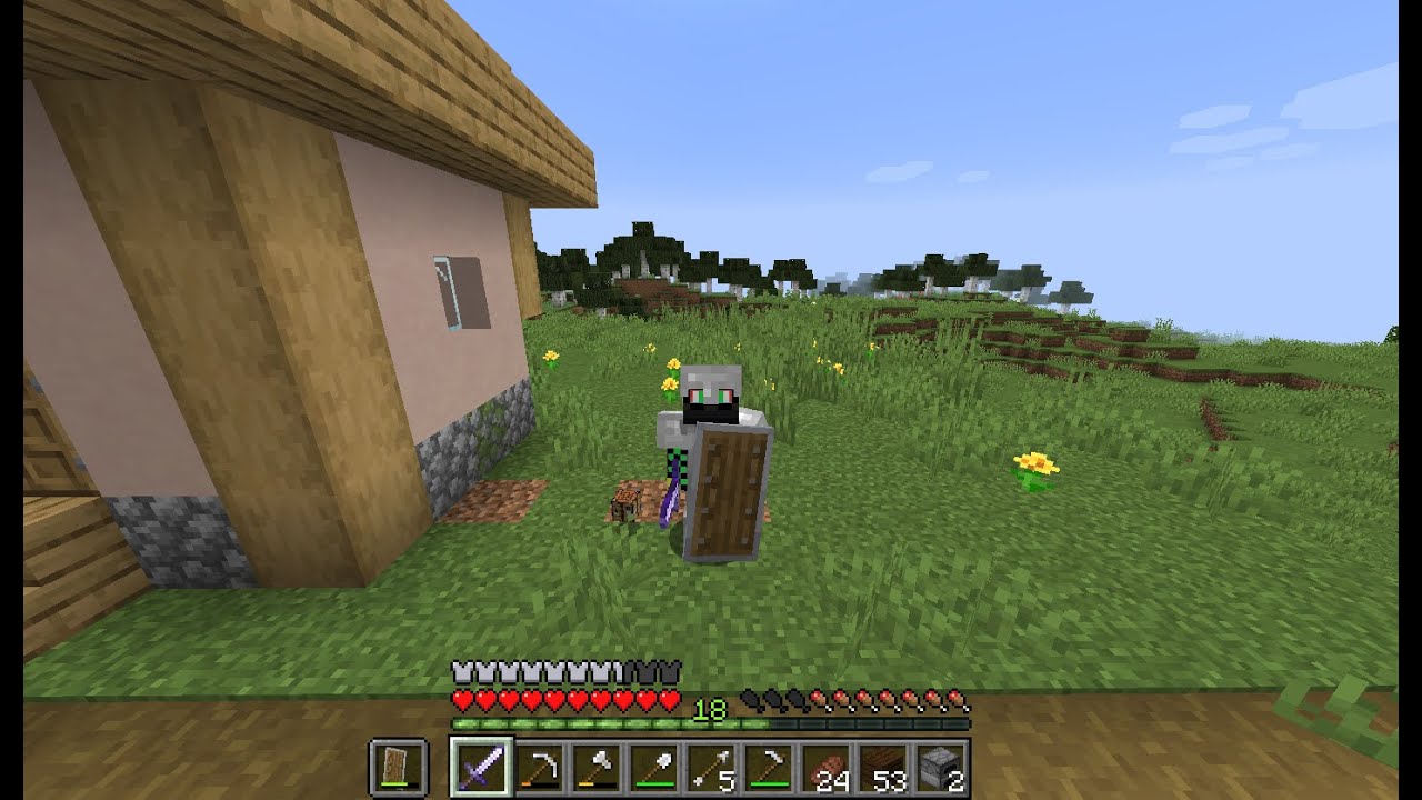 Minecraft survival world