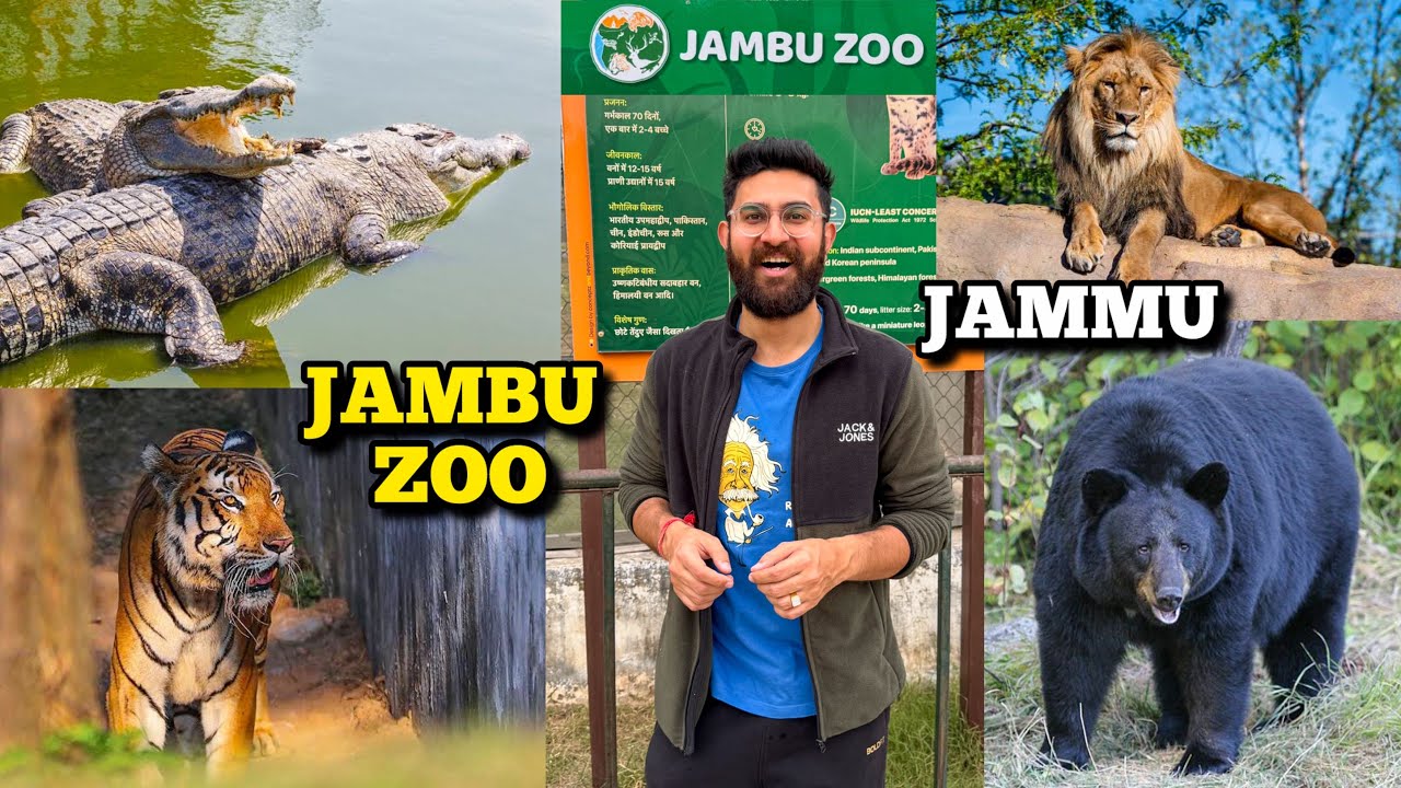 JAMBU ZOO IN JAMMU | TIGER | LION | Leopard | Bears | Crocodiles | Largest Zoo of North India | J&K