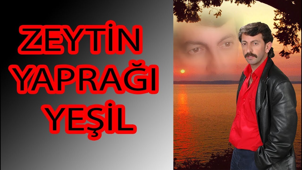 SAKARYA ÇİFTETELLİSİ (ZEYTİN YAPRAĞI YEŞİL - Yılmaz Keskin)