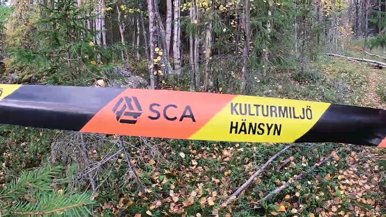 Nyb&ouml;rjare m&aring;ste ha snittslat denna avverkning bortanf&ouml;r Nunisvaara !