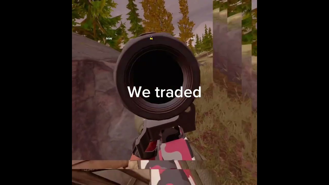 Olen vr gunstock review 