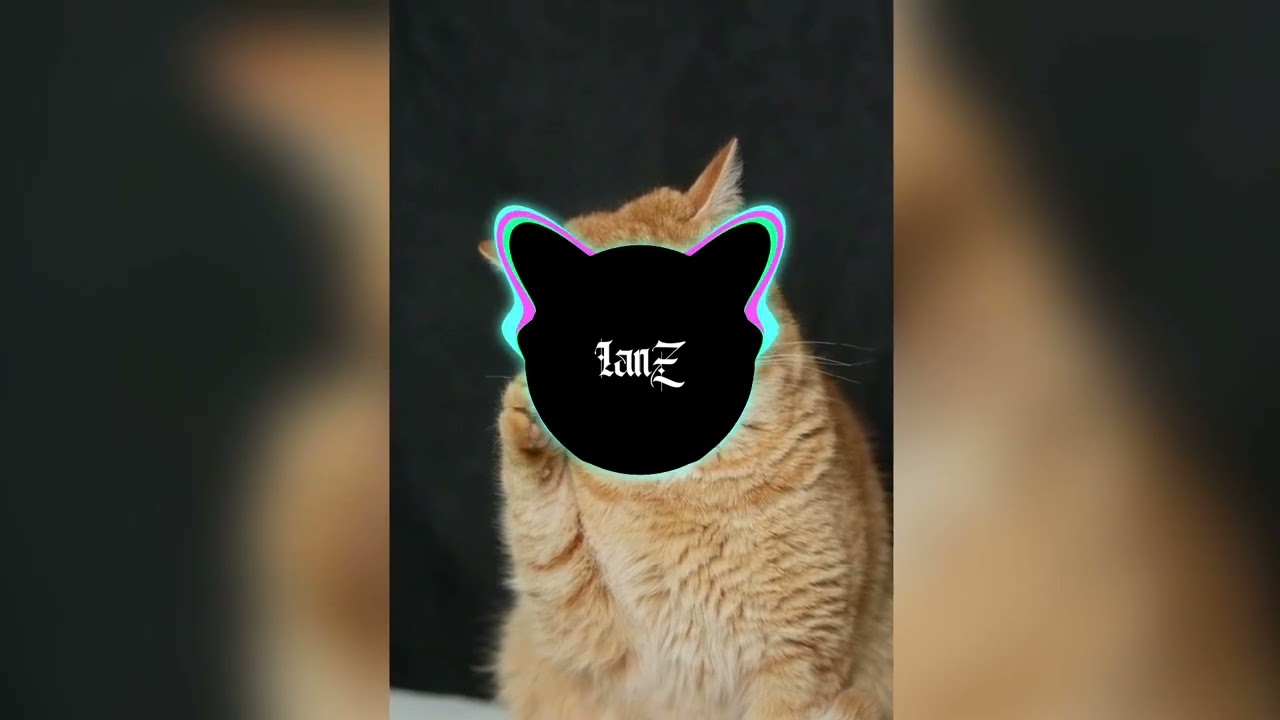 Lagu -ever salikara distan manado official