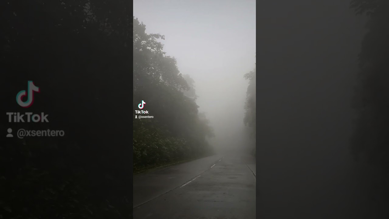 #forest