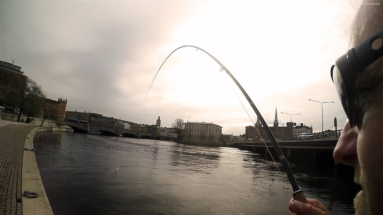 City Slicker Sea Trout