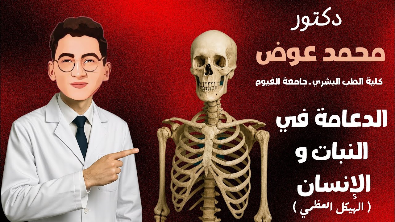الدعامة في النبات والإنسان (الهيكل العظمي)