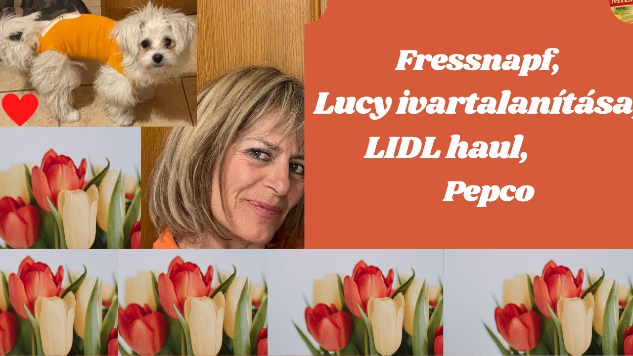 Fressnapf, Lucy ivartalanítása, LIDL haul, Pepco