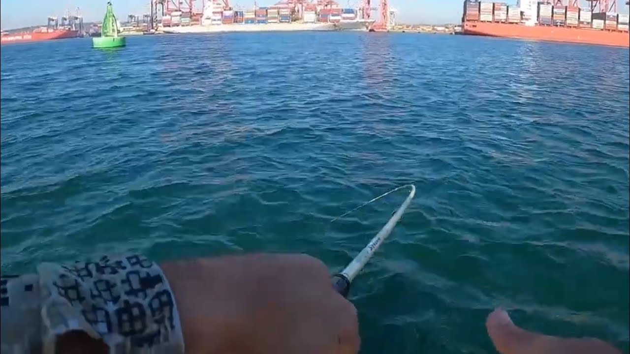 Fishing Durban Harbour for the STRONGEST and FASTEST fish.
