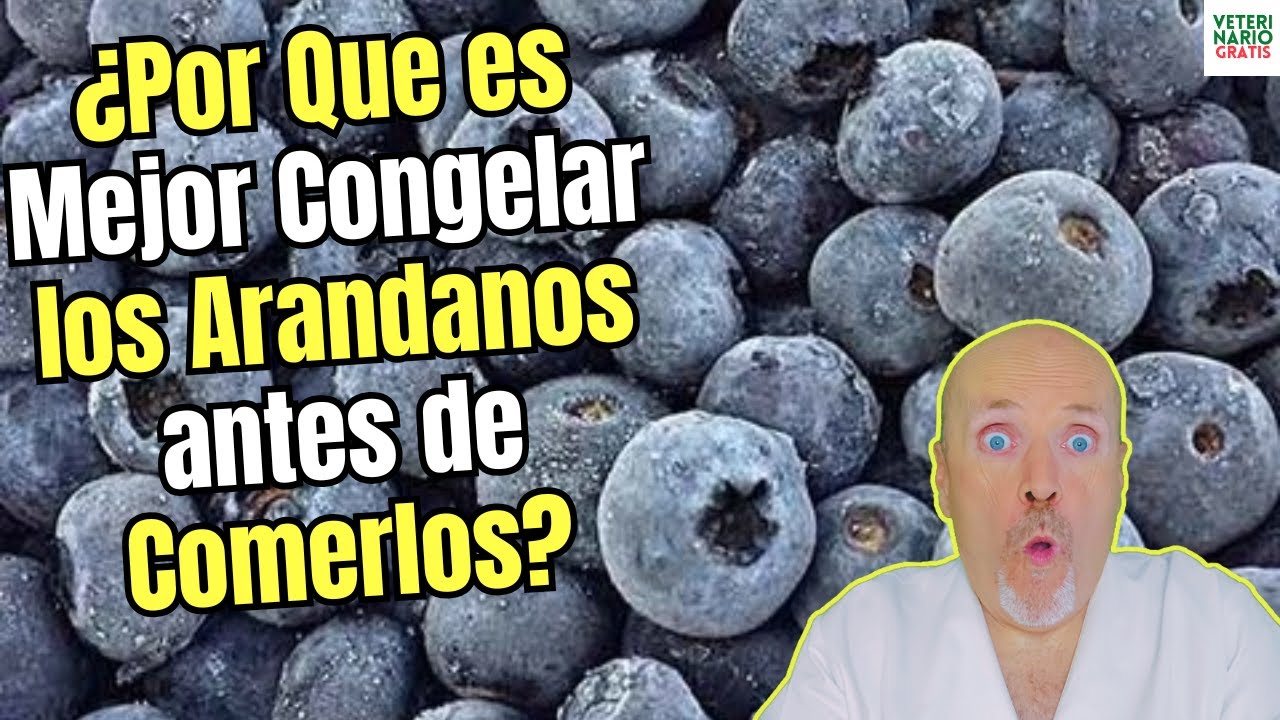 🫐❄️ ¡INCREÍBLE! ¿Por qué es más SANO comer ARÁNDANOS CONGELADOS? 🤔 Beneficios EXTRA