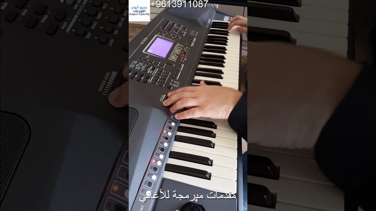 Ketron_vega_infinity الأورغ الشعبي الأول