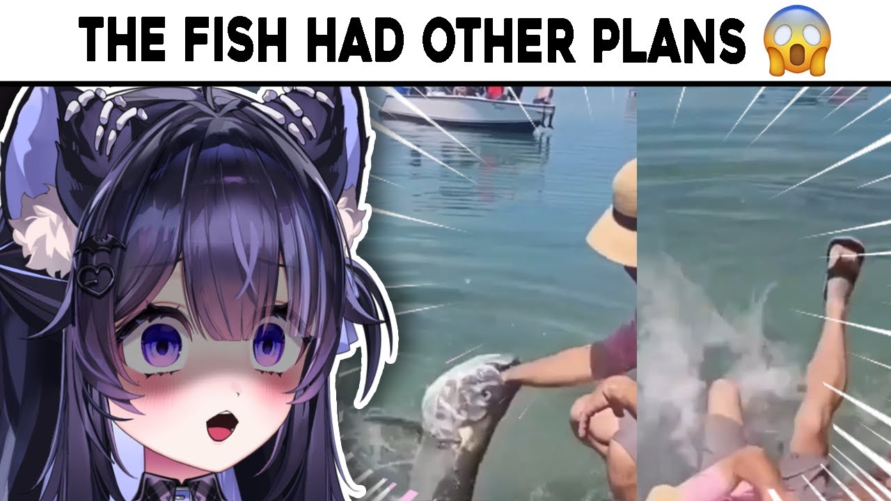 Я НЕ МОГУ ПОВЕРИТЬ, ЧТО ЭТО ПРОИЗОШЛО!! | r/FunnyVideos