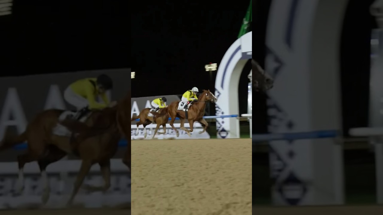 DUBAI HORSE RACING 🇦🇪 BY EMAAR 