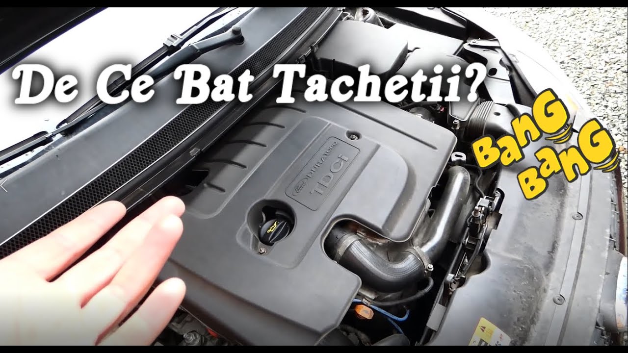 De ce BAT TACHETII? Cause, simptome posibile rezolvari!