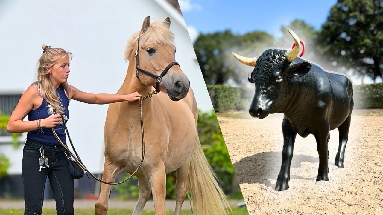 DOODENGE STIER daagt mij en Moos uit met de training! 😱