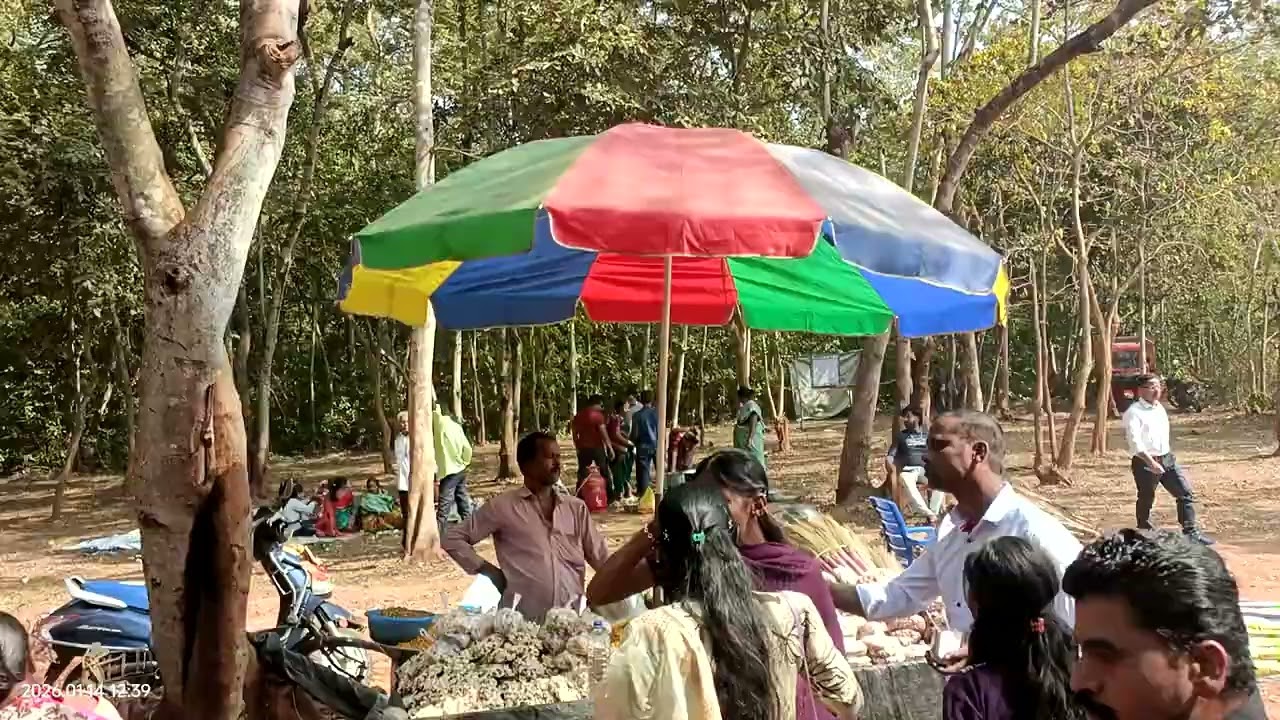 Dama damani.....makar Sankranti 
